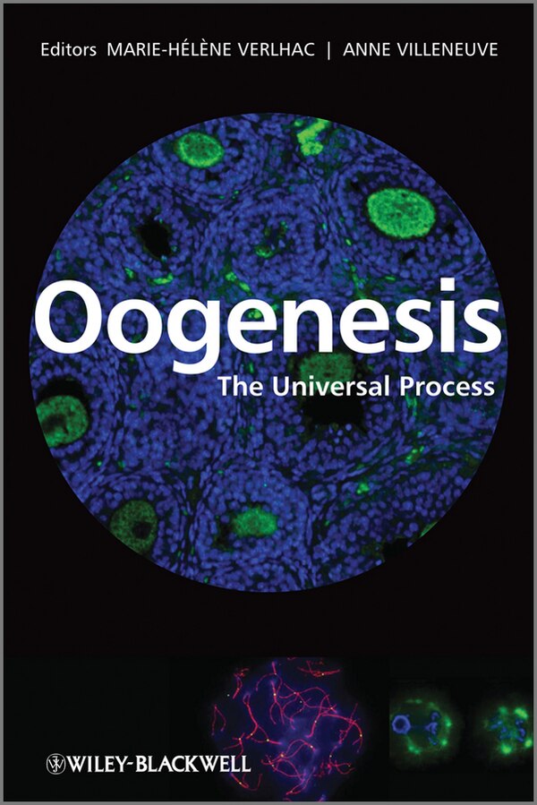 Oogenesis by Marie-Helene Verlhac, Hardcover | Indigo Chapters