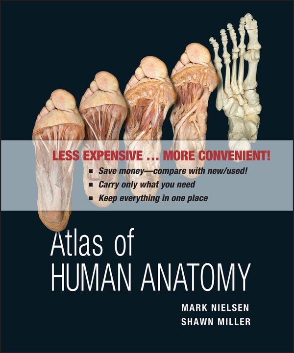 Atlas Of Human Anatomy by Mark Nielsen, Loose Leaf | Indigo Chapters