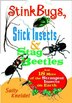 Stink Bugs Stick Insects and Stag Beetles by Sally Kneidel, Paperback | Indigo Chapters