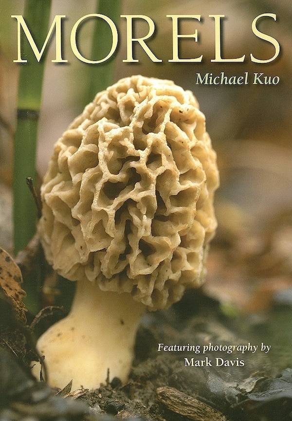 Morels by Michael Kuo, Paperback | Indigo Chapters