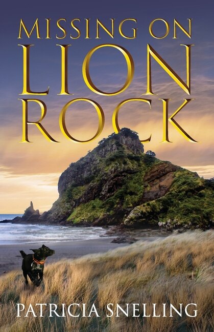 Missing on Lion Rock by Patricia Snelling, Paperback | Indigo Chapters