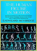 The Human Figure In Motion by Eadweard Muybridge, Hardcover | Indigo Chapters