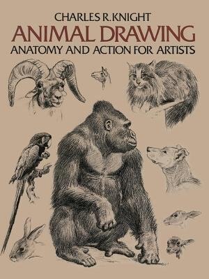 Animal Drawing by Charles Knight, Paperback | Indigo Chapters