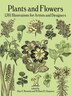 Plants And Flowers by Alan E Bessette, Paperback | Indigo Chapters