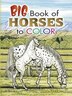 Big Book of Horses to Color by John Green, Paperback | Indigo Chapters