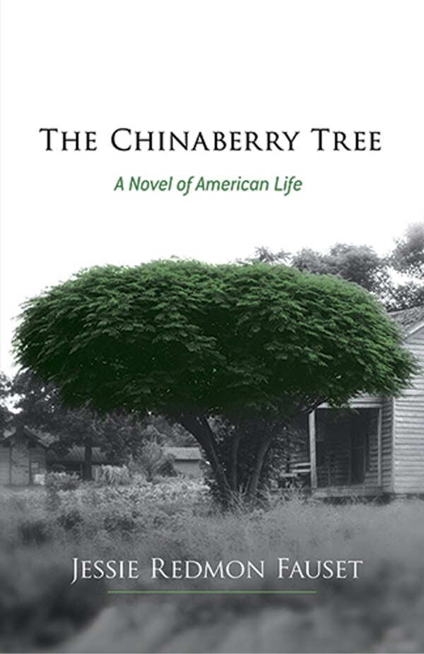 The Chinaberry Tree by Jessie Redmon Fauset, Paperback | Indigo Chapters