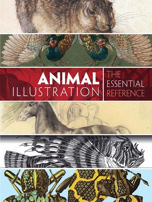 Animal Illustration: The Essential Reference by Carol Belanger Grafton, Paperback | Indigo Chapters