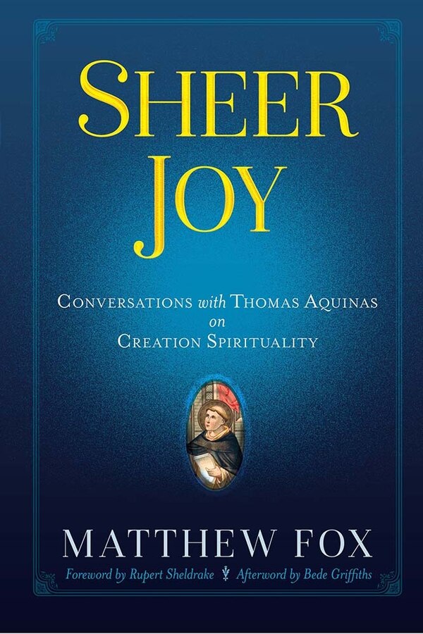 Sheer Joy by Matthew Fox, Paperback | Indigo Chapters