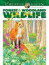 Creative Haven Forest & Woodland Wildlife Coloring Book by Marty Noble, Paperback | Indigo Chapters