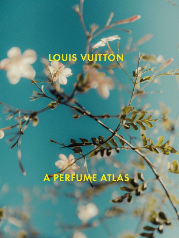 Louis Vuitton by Lionel Pailles, Hardcover | Indigo Chapters