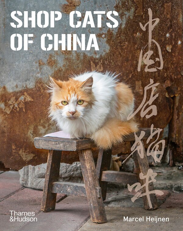 Shop Cats Of China by Marcel Heijnen, Paperback | Indigo Chapters