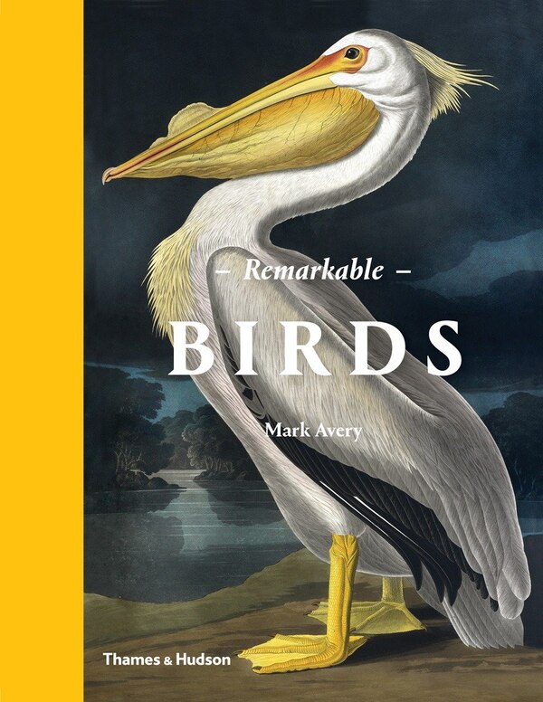 Remarkable Birds by Mark Avery, Hardcover | Indigo Chapters
