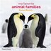 My Favorite Animal Families by Steve Bloom, Hardcover | Indigo Chapters