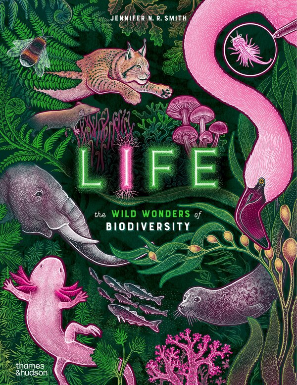 Life by Jennifer N. R. Smith, Picture Books | Indigo Chapters