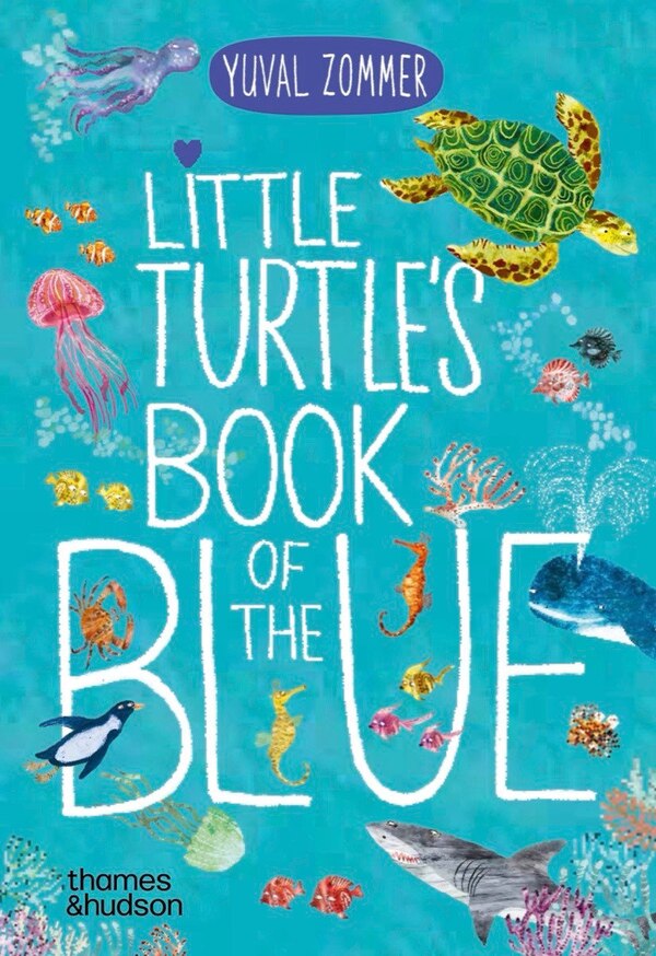 Little Turtle's Book of the Blue by Yuval Zommer, Board Book | Indigo Chapters