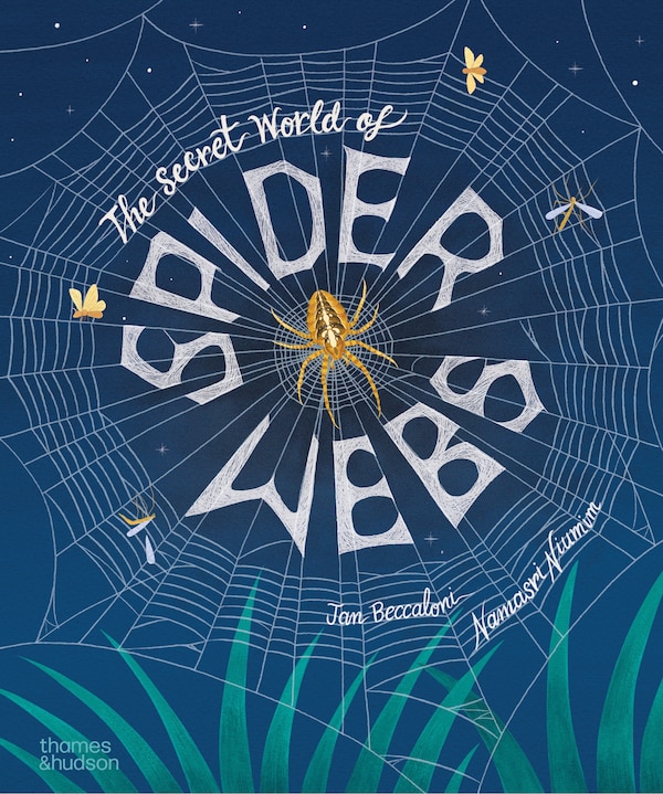 The Secret World of Spiderwebs by Namasri Niumim, Hardcover | Indigo Chapters