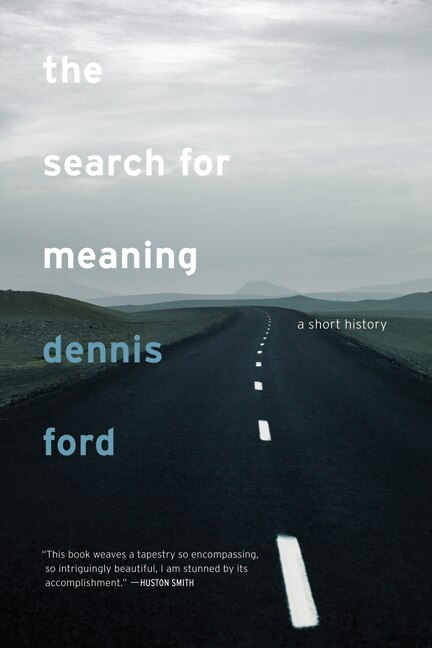 The Search for Meaning by Dennis Ford, Paperback | Indigo Chapters