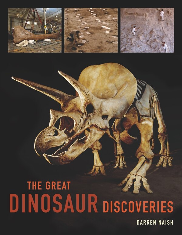 The Great Dinosaur Discoveries by Darren Naish, Hardcover | Indigo Chapters