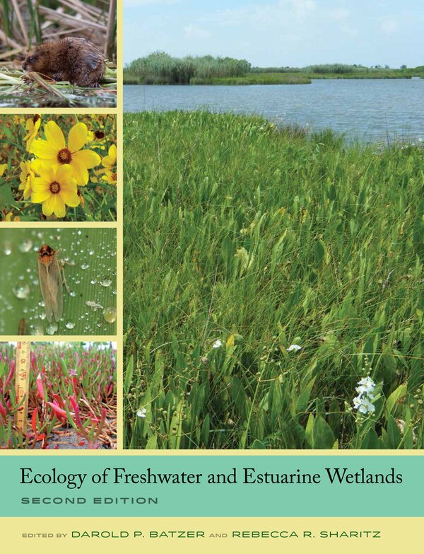 Ecology of Freshwater and Estuarine Wetlands by Darold P. Batzer, Hardcover | Indigo Chapters