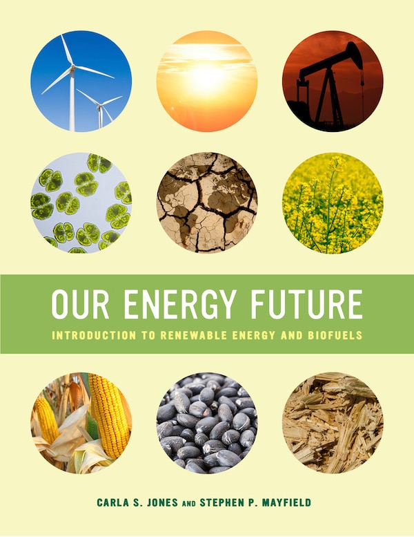 Our Energy Future by Carla S. Jones, Paperback | Indigo Chapters