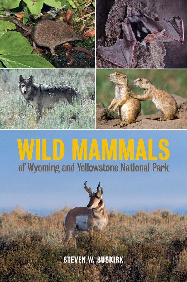 Wild Mammals Of Wyoming And Yellowstone National Park by Steven W. Buskirk, Hardcover | Indigo Chapters