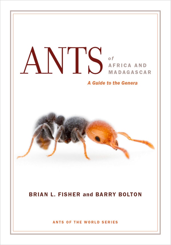 Ants of Africa and Madagascar by Brian L. Fisher, Paperback | Indigo Chapters