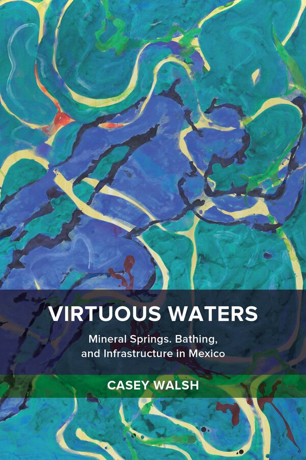 Virtuous Waters by Casey Walsh, Paperback | Indigo Chapters