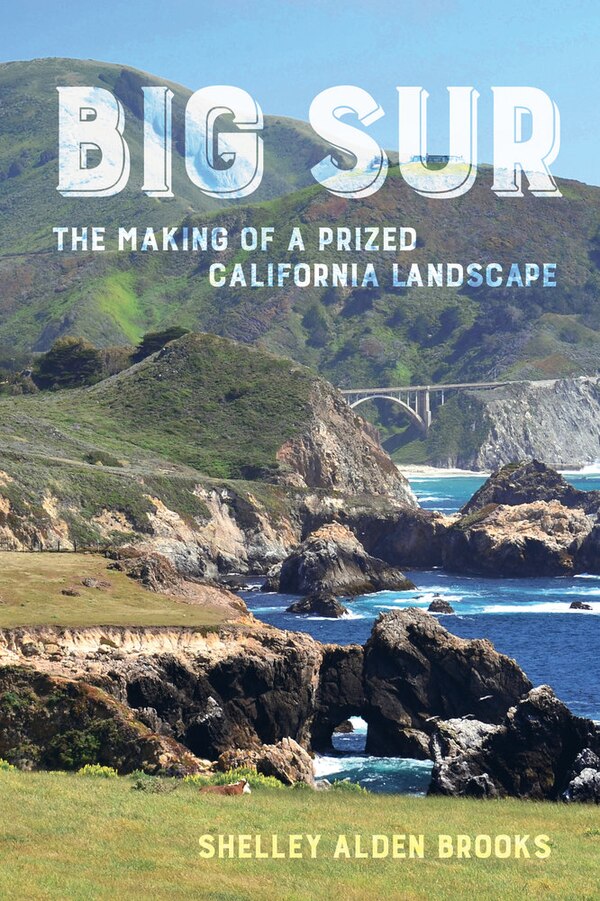 Big Sur by Shelley Alden Brooks, Paperback | Indigo Chapters