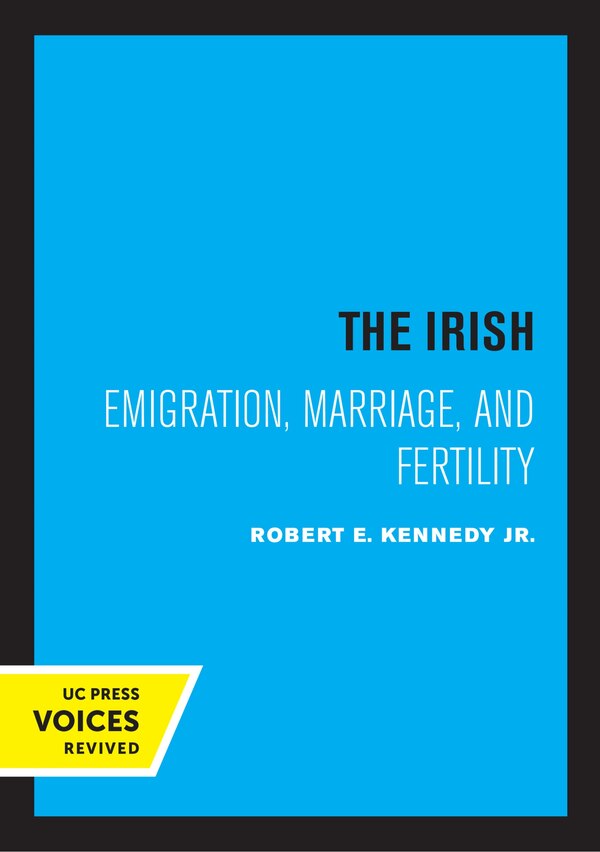 The Irish by Robert E. Kennedy, Paperback | Indigo Chapters
