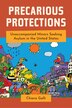 Precarious Protections by Chiara Galli, Hardcover | Indigo Chapters
