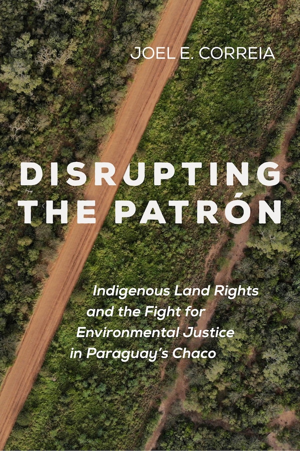 Disrupting the Patron by Joel E. Correia, Paperback | Indigo Chapters