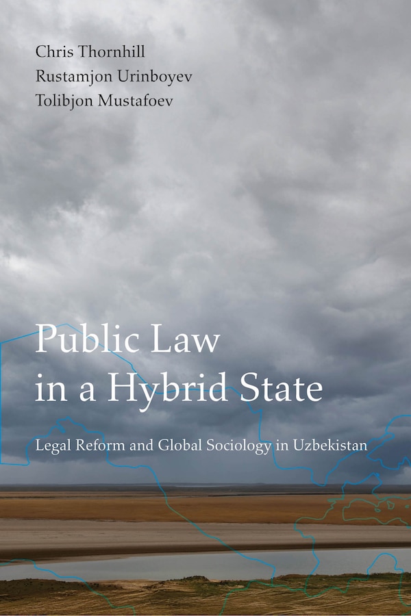 Public Law in a Hybrid State by Chris John Thornhill, Paperback | Indigo Chapters