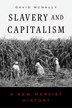Slavery and Capitalism by David McNally, Paperback | Indigo Chapters