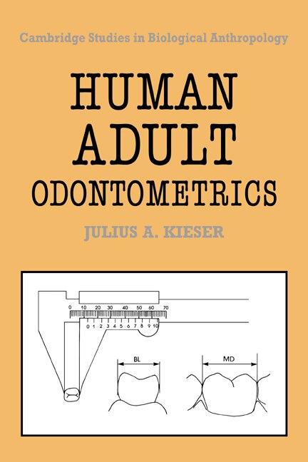 Human Adult Odontometrics by Julius A. Kieser, Paperback | Indigo Chapters