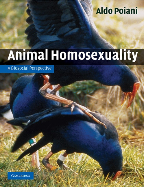 Animal Homosexuality by Aldo Poiani, Paperback | Indigo Chapters