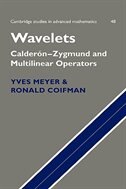 Wavelets by Yves Meyer, Hardcover | Indigo Chapters