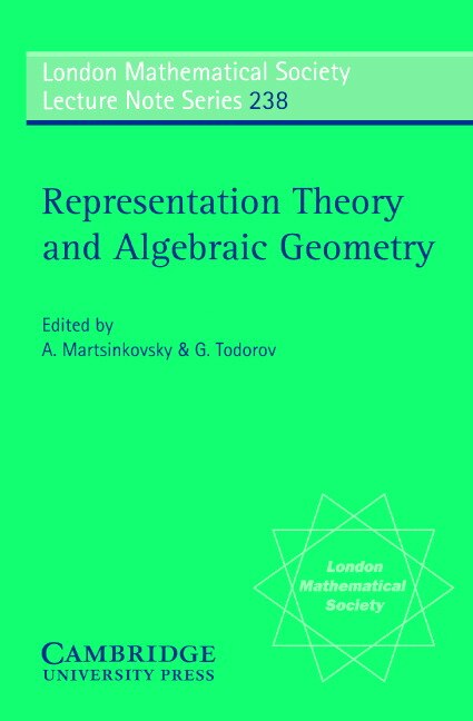 Representation Theory And Algebraic Geometry by A. Martsinkovsky, Paperback | Indigo Chapters