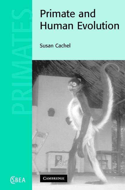 Primate And Human Evolution by Susan Cachel, Hardcover | Indigo Chapters