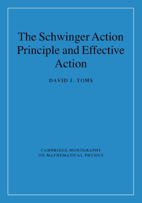 The Schwinger Action Principle and Effective Action by David J. Toms, Hardcover | Indigo Chapters