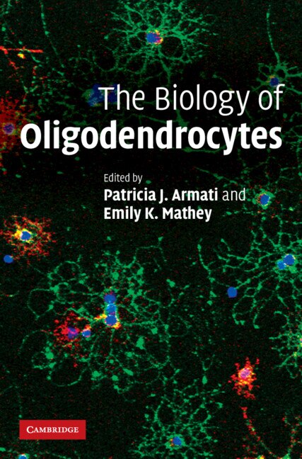 The Biology of Oligodendrocytes by Patricia Armati, Hardcover | Indigo Chapters