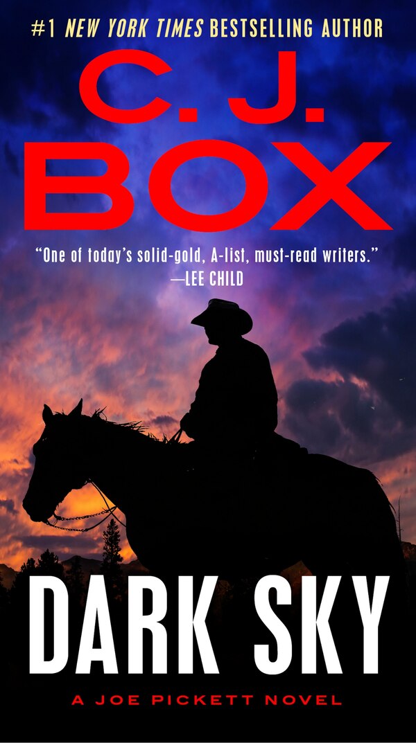 Dark Sky by C. J. Box, Paperback | Indigo Chapters