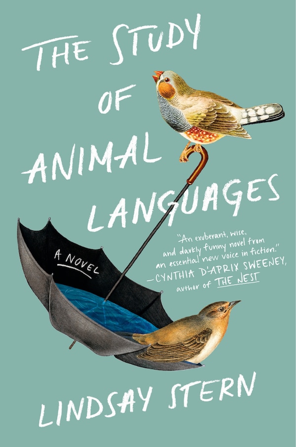 The Study Of Animal Languages by Lindsay Stern, Hardcover | Indigo Chapters