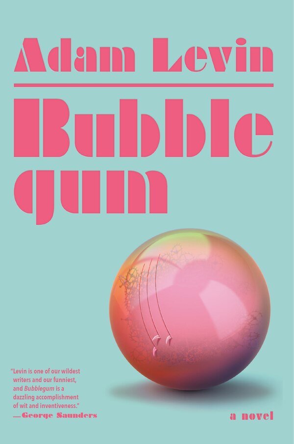 Bubblegum by Adam Levin, Paperback | Indigo Chapters