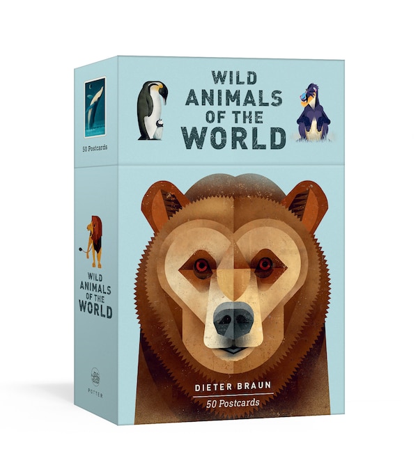 Wild Animals Of The World: 50 Postcards by Dieter Braun, Paperback | Indigo Chapters