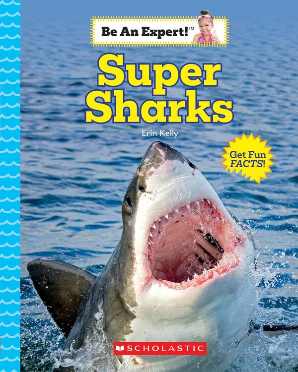 Super Sharks (be An Expert ) (library Edition) by Erin Kelly, Hardcover | Indigo Chapters