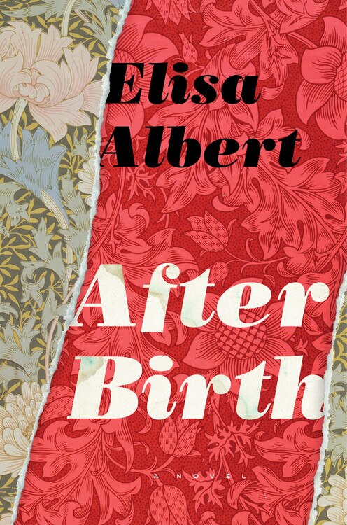 After Birth by Elisa Albert, Paperback | Indigo Chapters