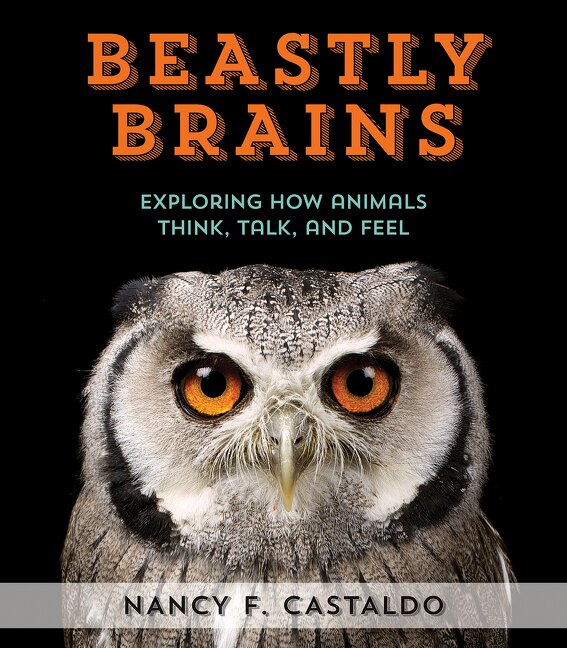 Beastly Brains by Nancy Castaldo, Hardcover | Indigo Chapters