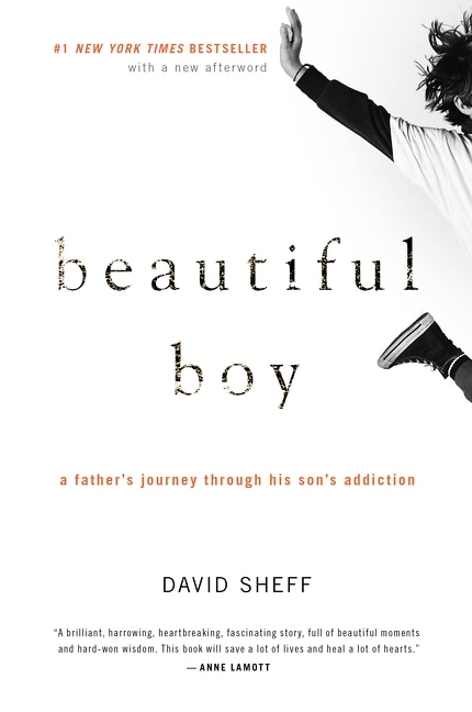 Beautiful Boy by David Sheff, Paperback | Indigo Chapters