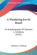 A Wandering Jew In Brazil by Solomon L Ginsburg, Paperback | Indigo Chapters
