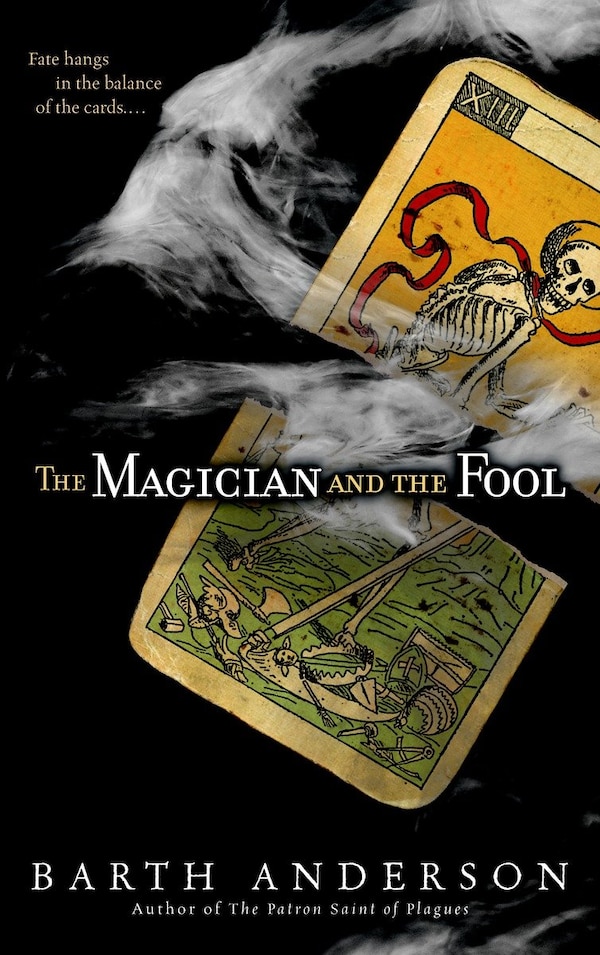 The Magician And The Fool by Barth Anderson, Paperback | Indigo Chapters